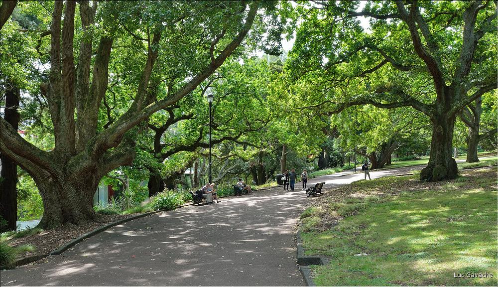 L'Albert park d'Auckland. (3)