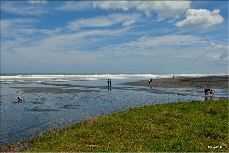 Mer de Tasman dans la région d'Auckland. (2)