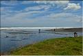 Mer de Tasman dans la région d'Auckland. (2)