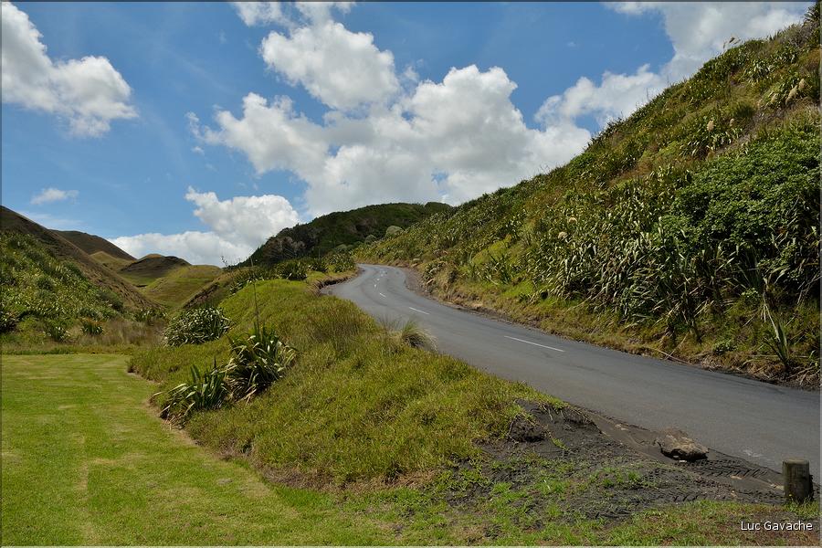 Mer de Tasman dans la région d'Auckland. (3)