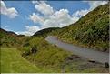Mer de Tasman dans la région d'Auckland. (3)