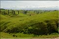 Région de Matamata. (1)