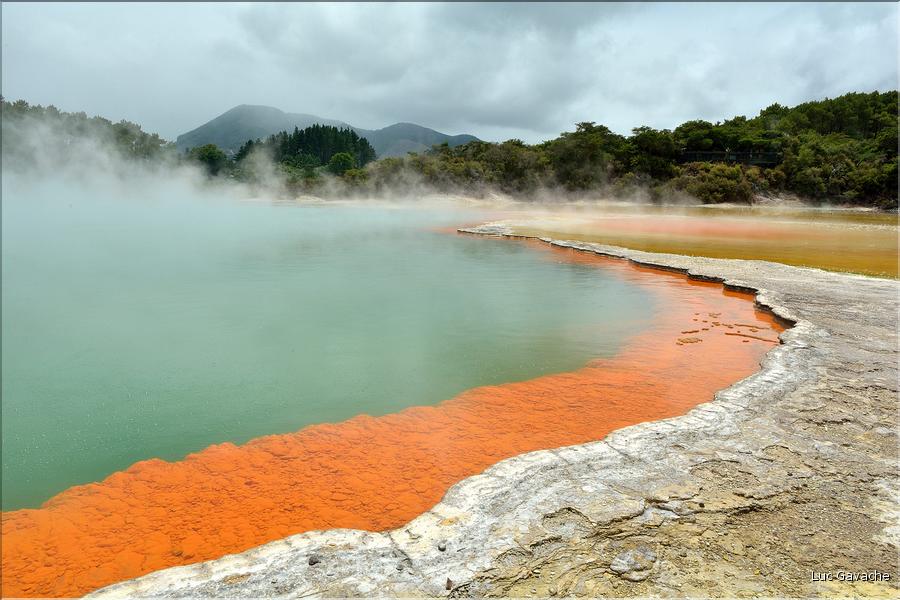 A Champagne pool l'eau jaillit à une température de 74 c., alors que la couleur orange est due à la présence d'antimoine (2)