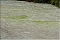 La zone volcanique de Wai-o-Tapu près de Rotura. (4)