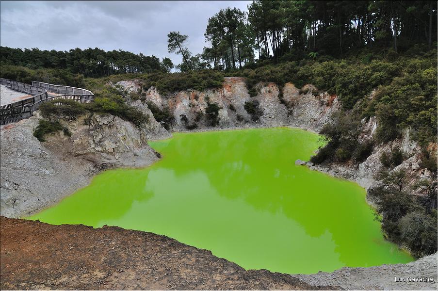 Le bain du diable à Wai-o-Tapu a une forte concentration en arsenic d'ou sa couleur verte.