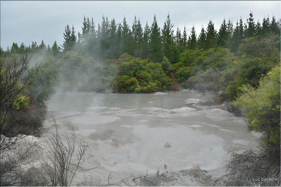 Les marmites de boue de Mud Pools à Wai-o-Tapu. (1)