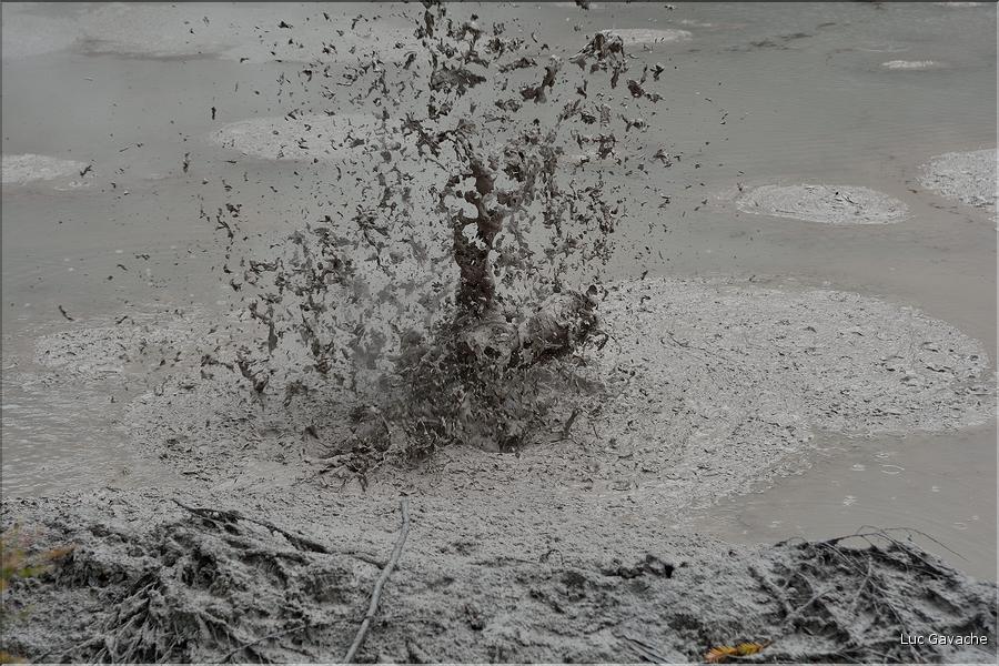 Les marmites de boue de Mud Pools à Wai-o-Tapu. (2)