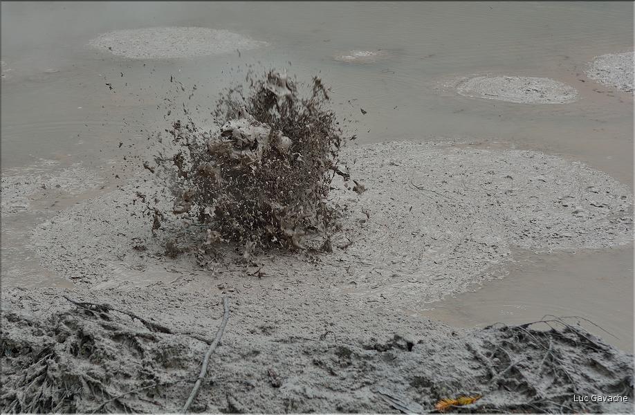 Les marmites de boue de Mud Pools à Wai-o-Tapu. (3)