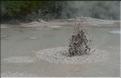 Les marmites de boue de Mud Pools à Wai-o-Tapu. (5)
