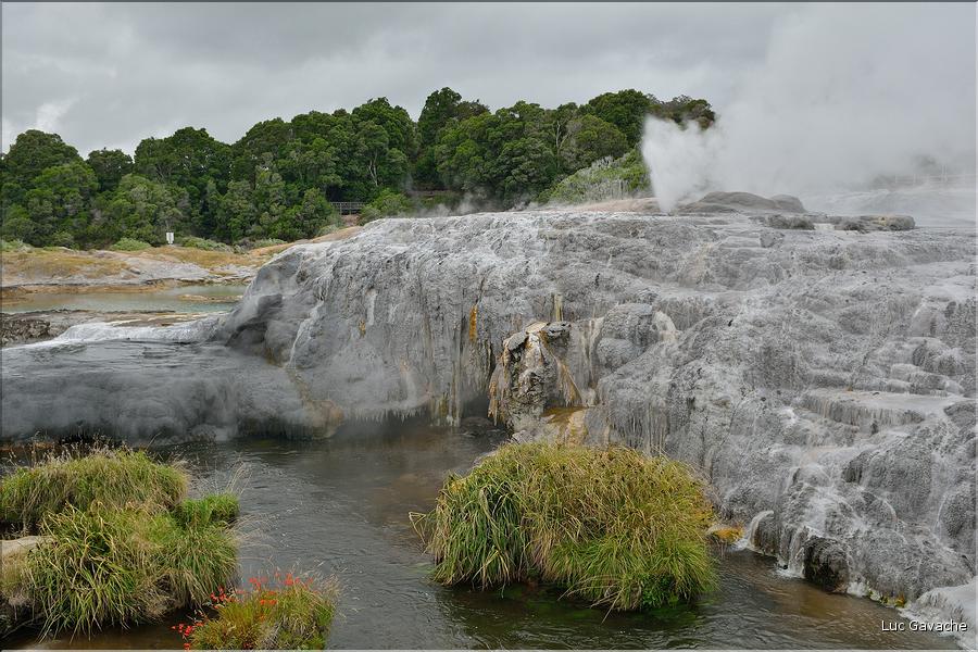 Le site volcanique de Te Puia se situe au porte de Roturua. (2)