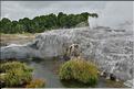 Le site volcanique de Te Puia se situe au porte de Roturua. (2)