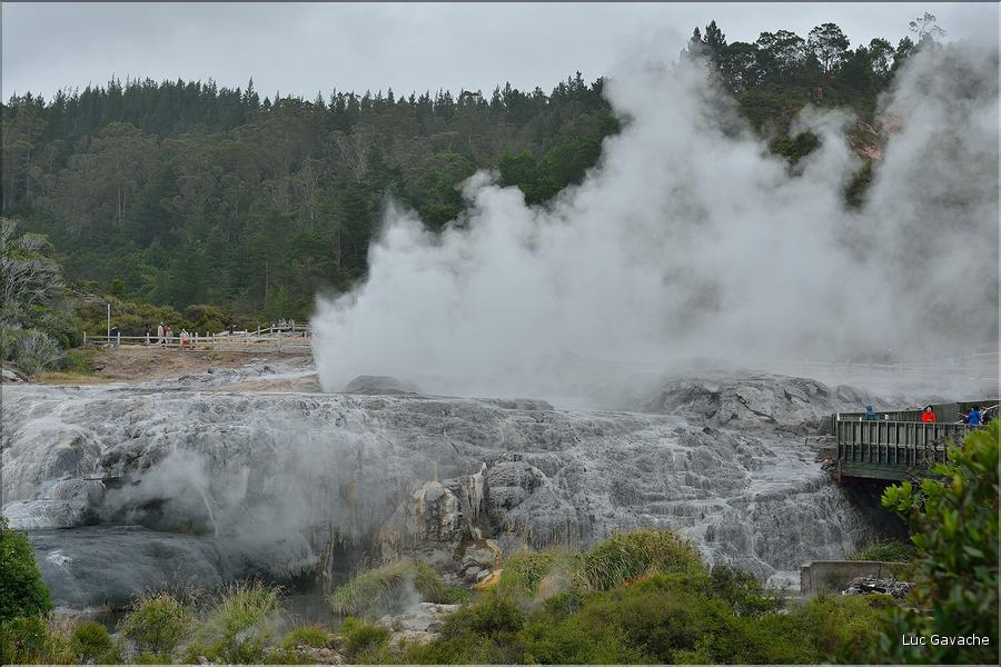 Le site volcanique de Te Puia se situe au porte de Roturua. (3)