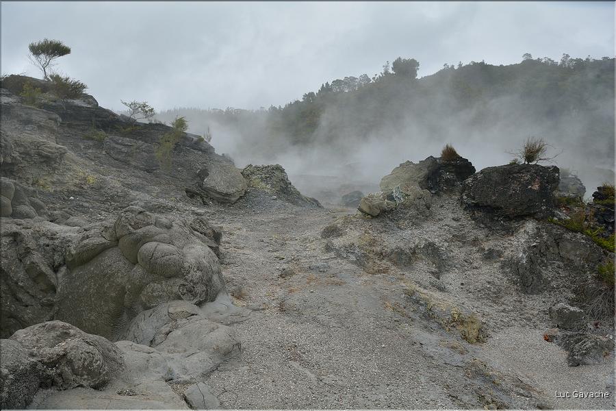 Le site volcanique de Te Puia se situe au porte de Roturua. (4)