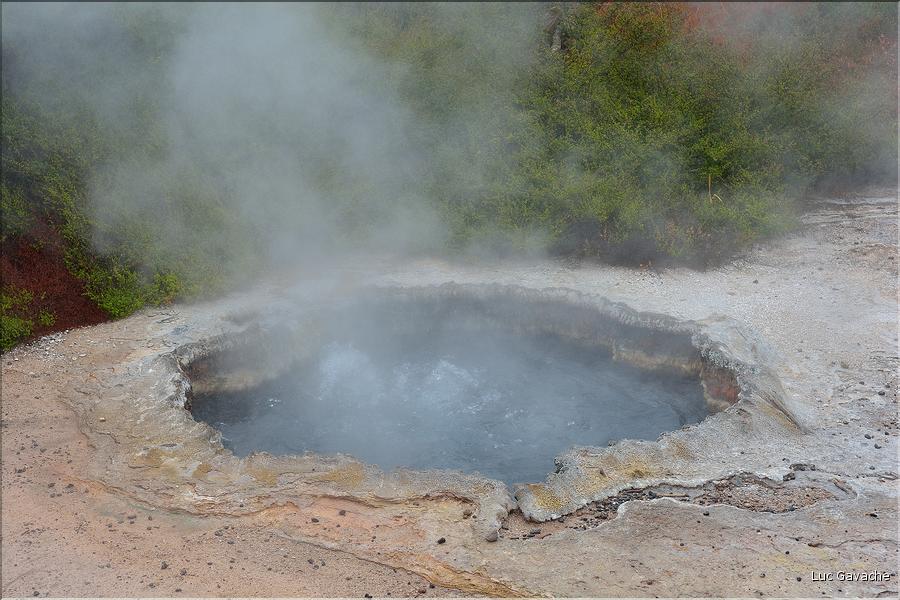 Le site volcanique de Te Puia se situe au porte de Roturua. (7)