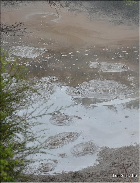 Le site volcanique de Te Puia se situe au porte de Roturua. (8)