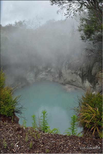 Le site volcanique de Te Puia se situe au porte de Roturua. (9)