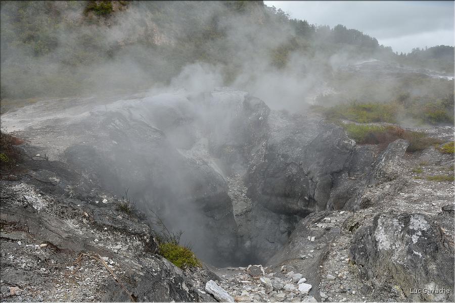 Le site volcanique de Te Puia se situe au porte de Roturua. (10)