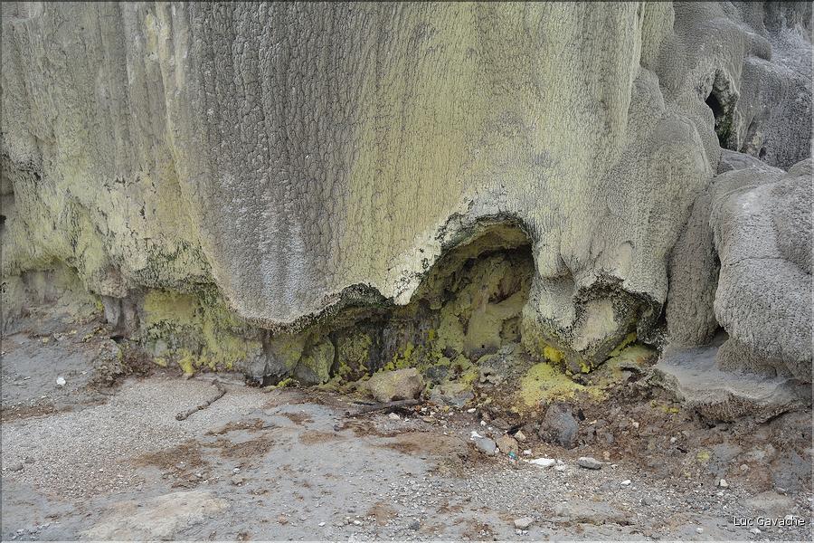 Le site volcanique de Te Puia se situe au porte de Roturua. (11)