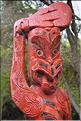 Le site de Te Puia abrite également de nombreux témoignages de la culture maorie. Ici des totems sculptés. (11)