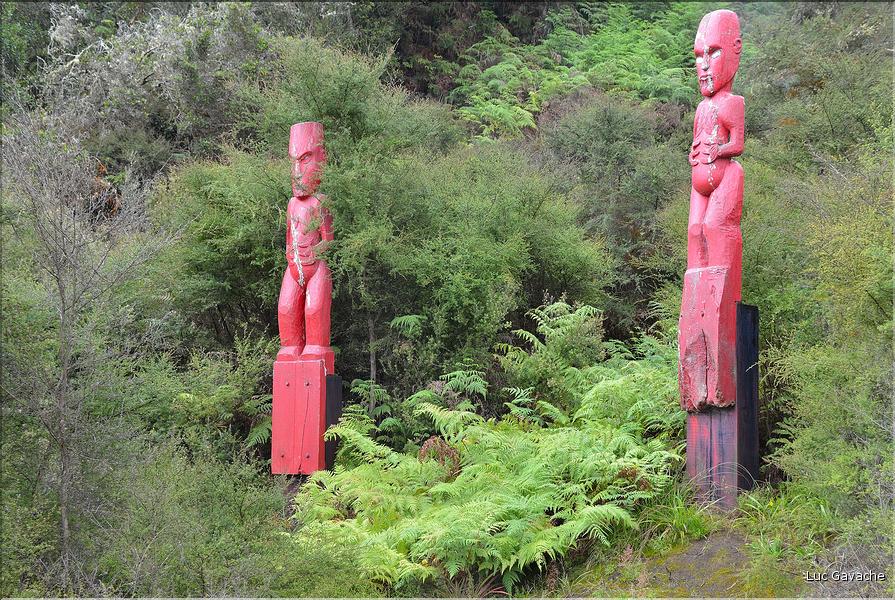 Le site de Te Puia abrite également de nombreux témoignages de la culture maorie. Ici des totems sculptés. (13)