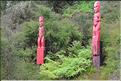 Le site de Te Puia abrite également de nombreux témoignages de la culture maorie. Ici des totems sculptés. (13)