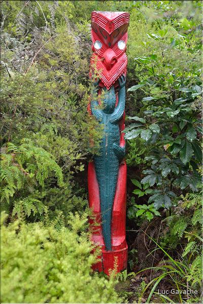 Le site de Te Puia abrite également de nombreux témoignages de la culture maorie. Ici des totems sculptés. (14)