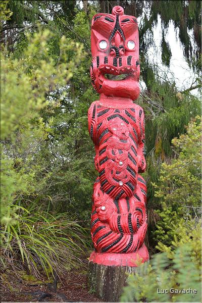 Le site de Te Puia abrite également de nombreux témoignages de la culture maorie. Ici des totems sculptés. (15)