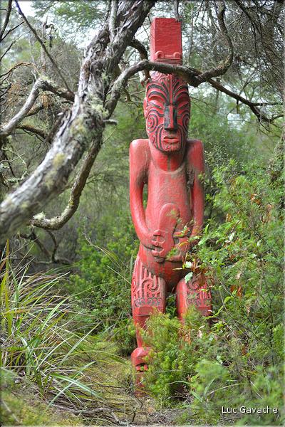 Le site de Te Puia abrite également de nombreux témoignages de la culture maorie. Ici des totems sculptés. (16)