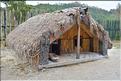 Habitat traditionnel Maoris à Te Puia. (1)