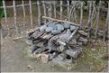 Habitat traditionnel Maoris à Te Puia. (2)