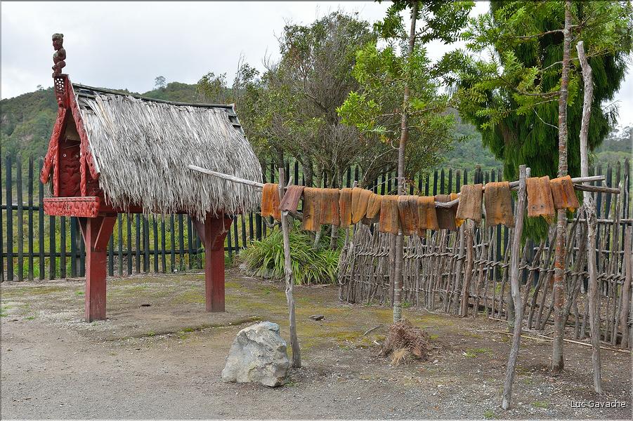 Habitat traditionnel Maoris à Te Puia. (3)