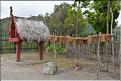 Habitat traditionnel Maoris à Te Puia. (3)