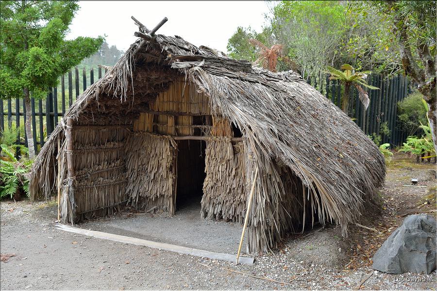 Habitat traditionnel Maoris à Te Puia. (4)