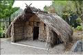 Habitat traditionnel Maoris à Te Puia. (4)