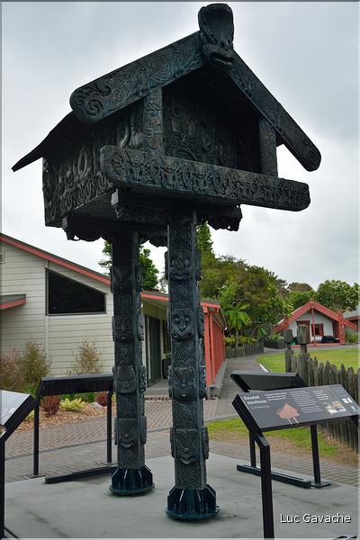 Habitat traditionnel Maoris à Te Puia. (5)