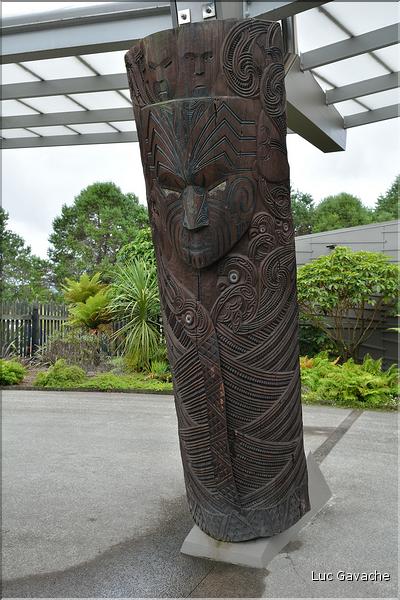 Totems maoris à Te Puia. (2)
