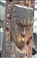La sculpture est un des aspects les plus importants de la culture Maori (Te Puia). (5)