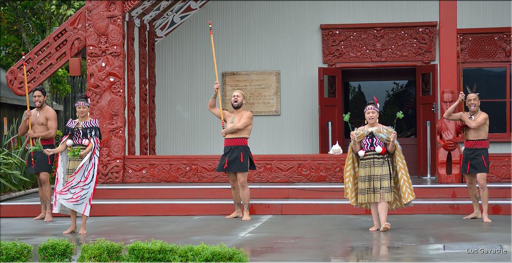 Cérémonie Maori à Te Puia Rotorua. (1)