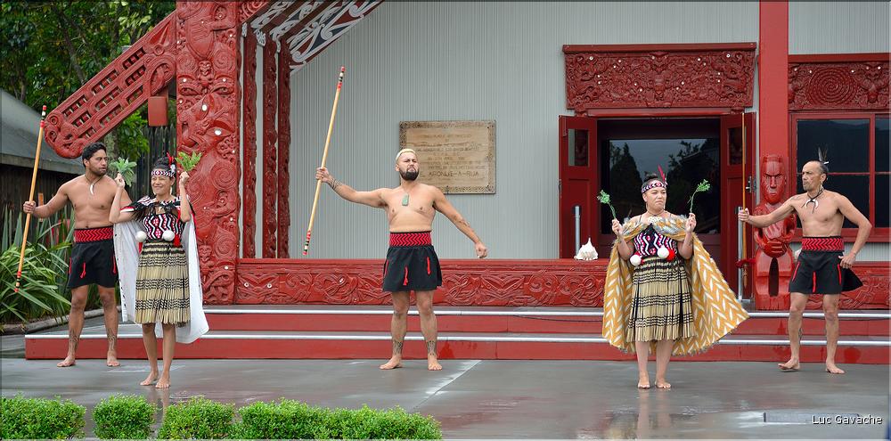 Cérémonie Maori à Te Puia Rotorua. (2)