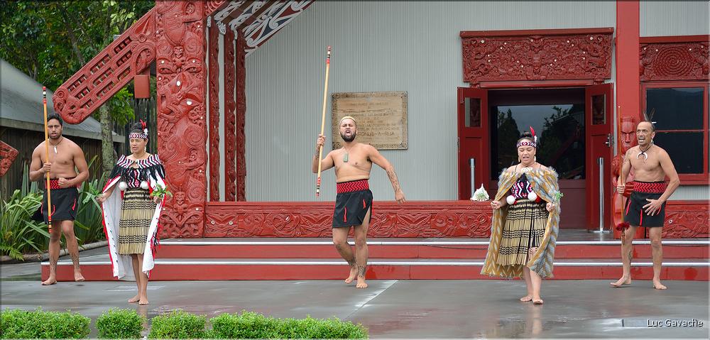 Cérémonie Maori à Te Puia Rotorua. (3)