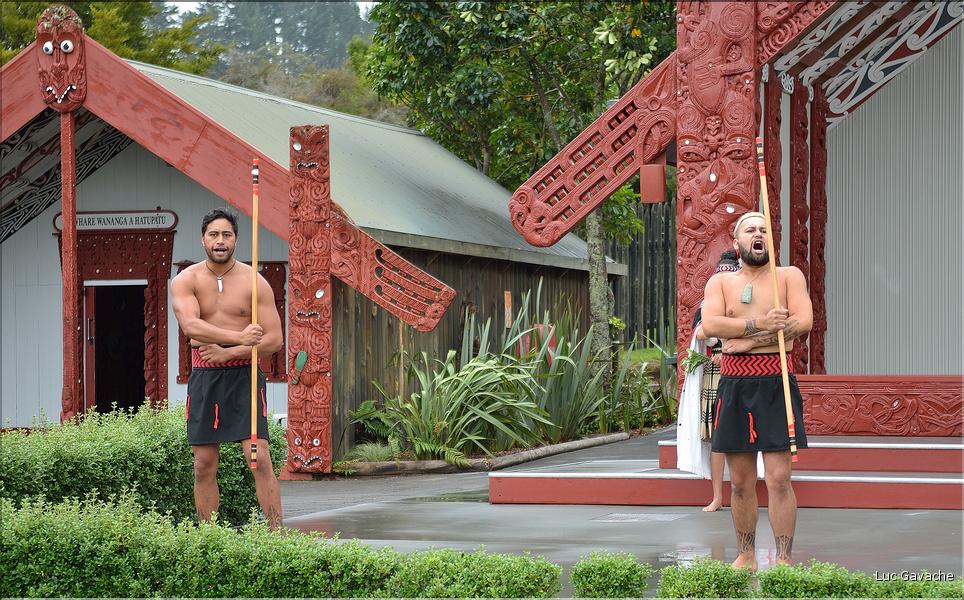 Cérémonie Maori à Te Puia Rotorua. (4)