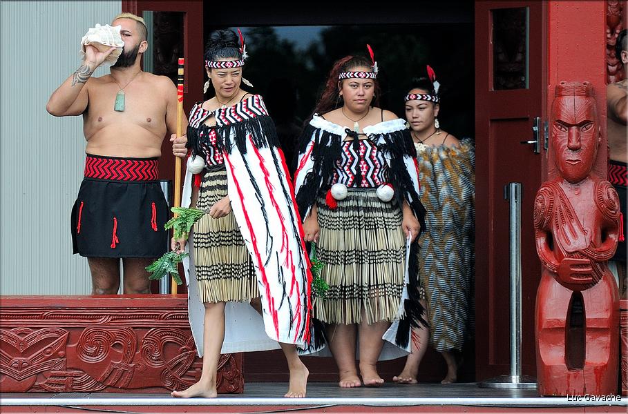 Cérémonie Maori à Te Puia Rotorua. (5)