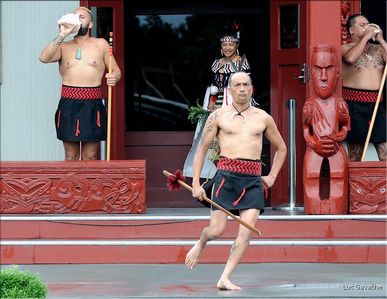 Cérémonie Maori à Te Puia Rotorua. (6)