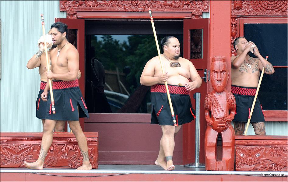 Cérémonie Maori à Te Puia Rotorua. (7)