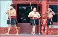 Cérémonie Maori à Te Puia Rotorua. (7)