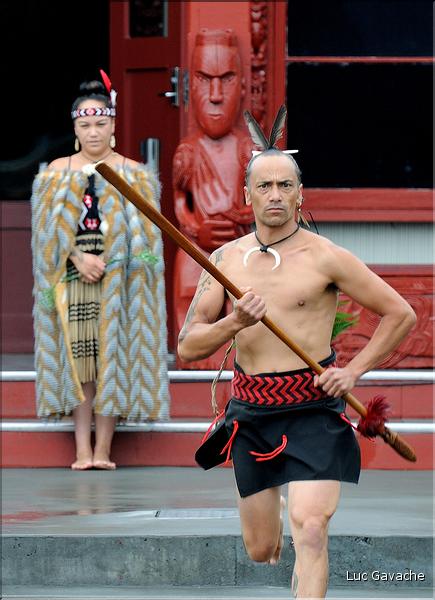 Cérémonie Maori à Te Puia Rotorua. (8)