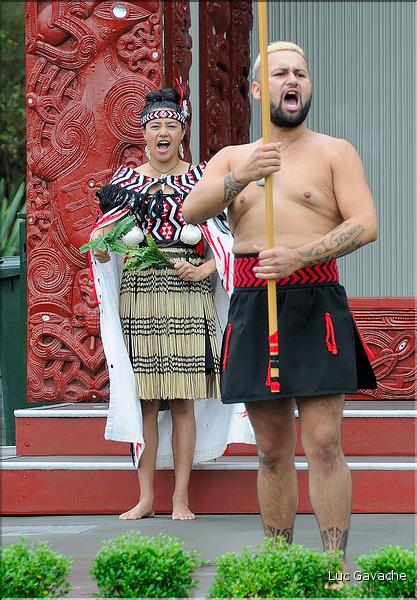 Cérémonie Maori à Te Puia Rotorua. (13)