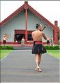 Cérémonie Maori à Te Puia Rotorua. (15)
