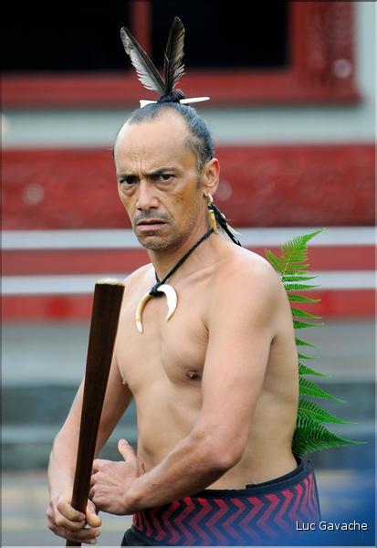 Cérémonie Maori à Te Puia Rotorua. (16)