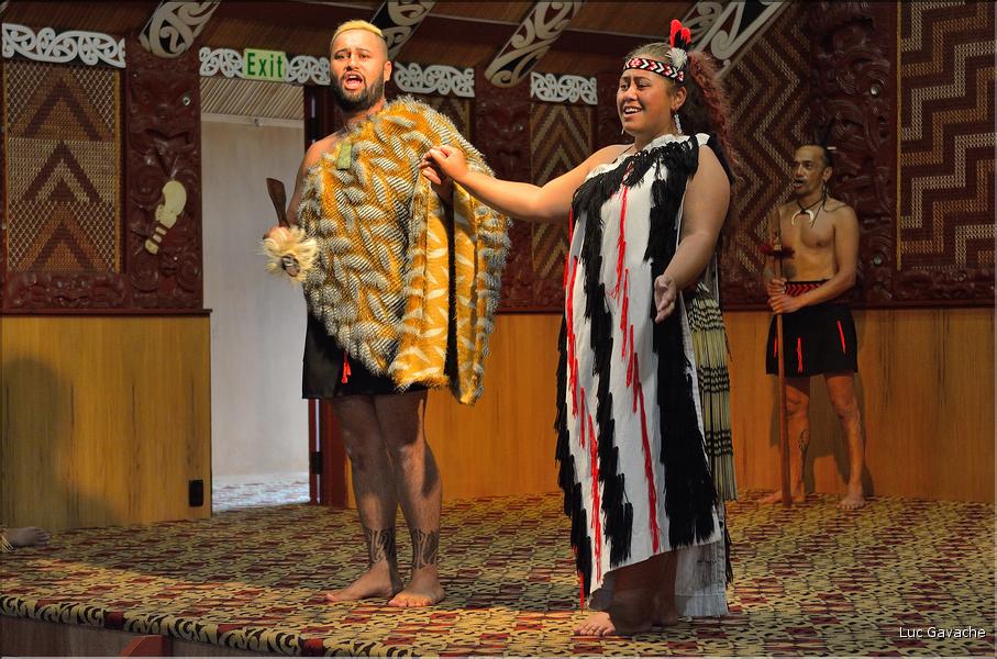Cérémonie Maori à Te Puia Rotorua. (22)
